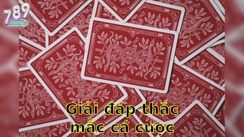 Giải Đáp Thắc Mắc Cá Cược Online – Trò Chuyện Cùng Chuyên Gia 2025
